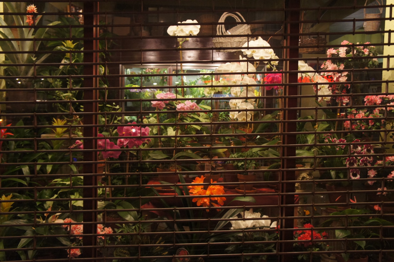 Flower Jail