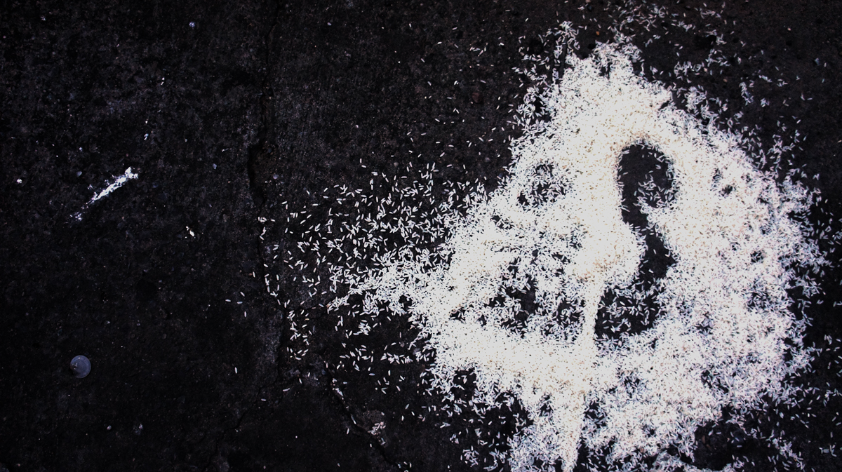 Loch Ness Monster / Rice Accident Coincidence