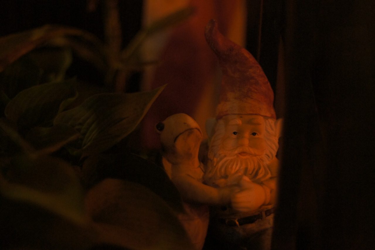 Troll dancing at night next door.