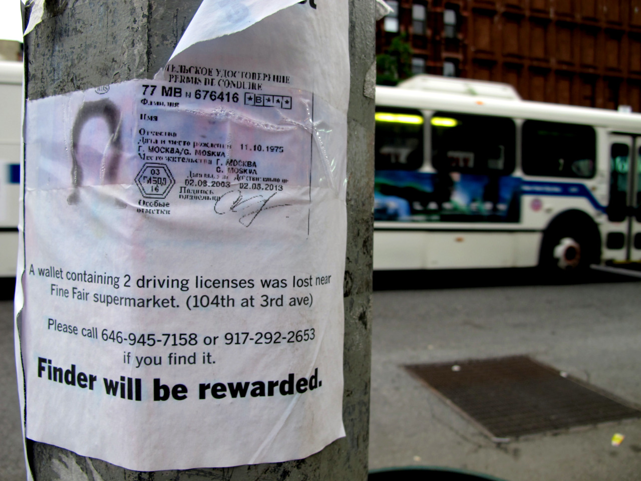 Finder will be rewarded.