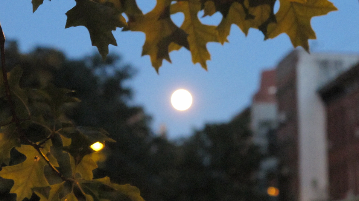 Moon pretending to be Sun.