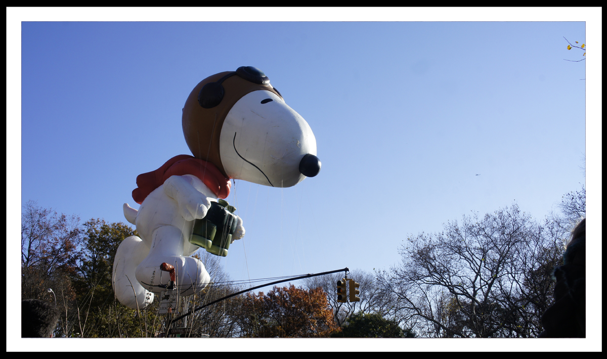 Snoopy 2011, NYC