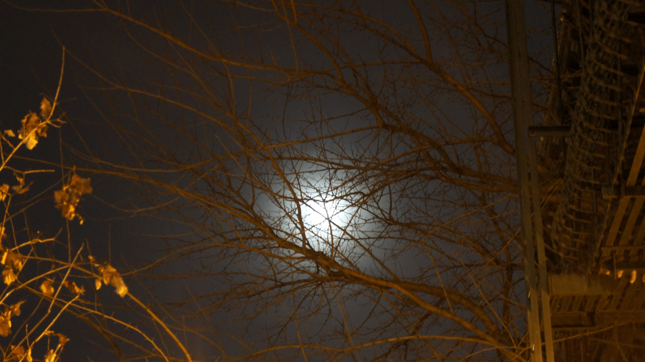 end of winter