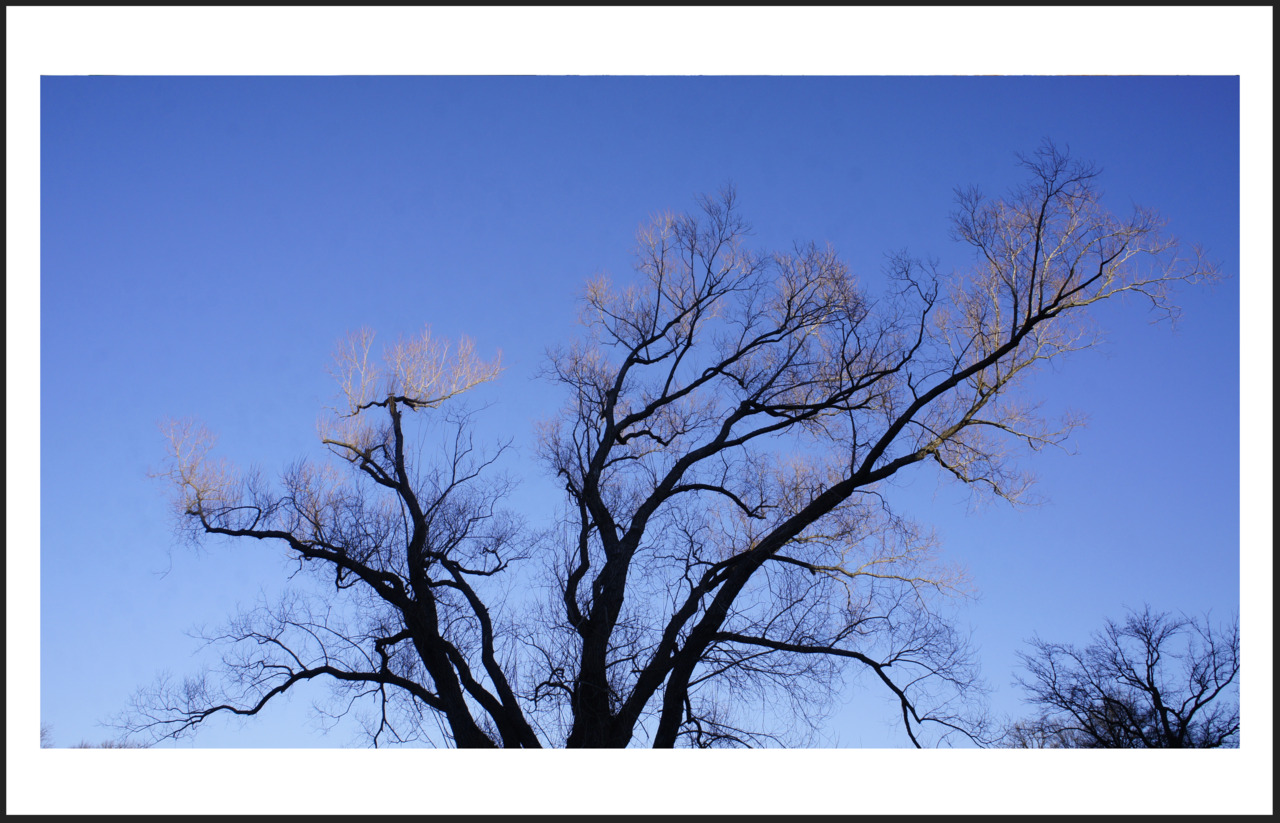 new years day 2012